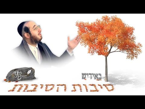 סיבת הסיבות