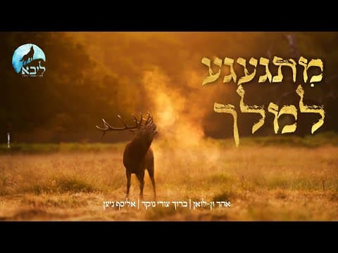 מתגעגע למלך