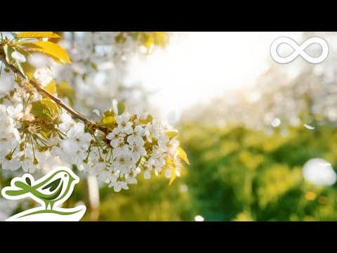 כי לעולם חסדו