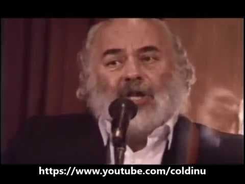 הופעה ברמדה תשנ"א