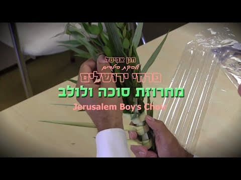 סוכה ולולב